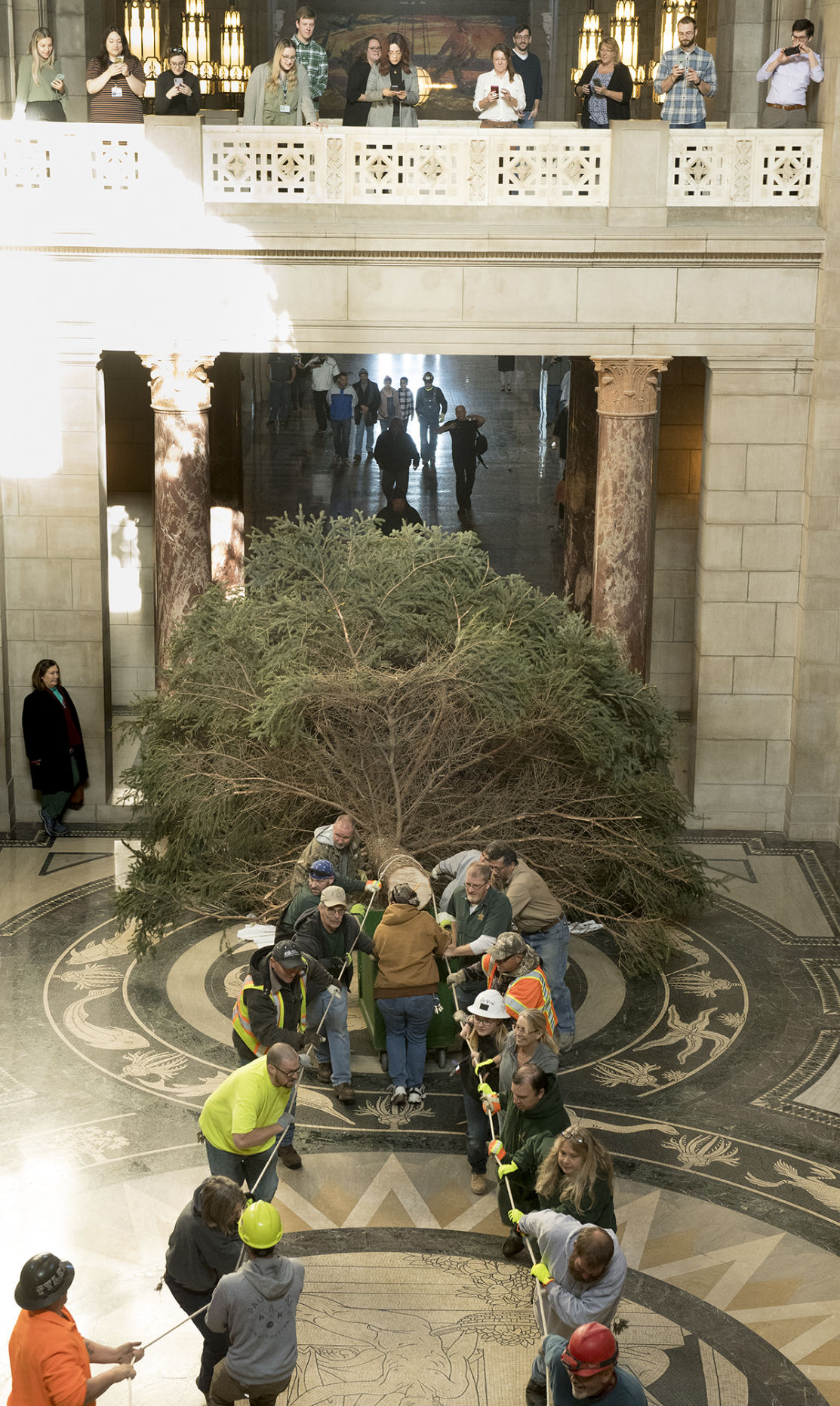 Capitol Christmas tree